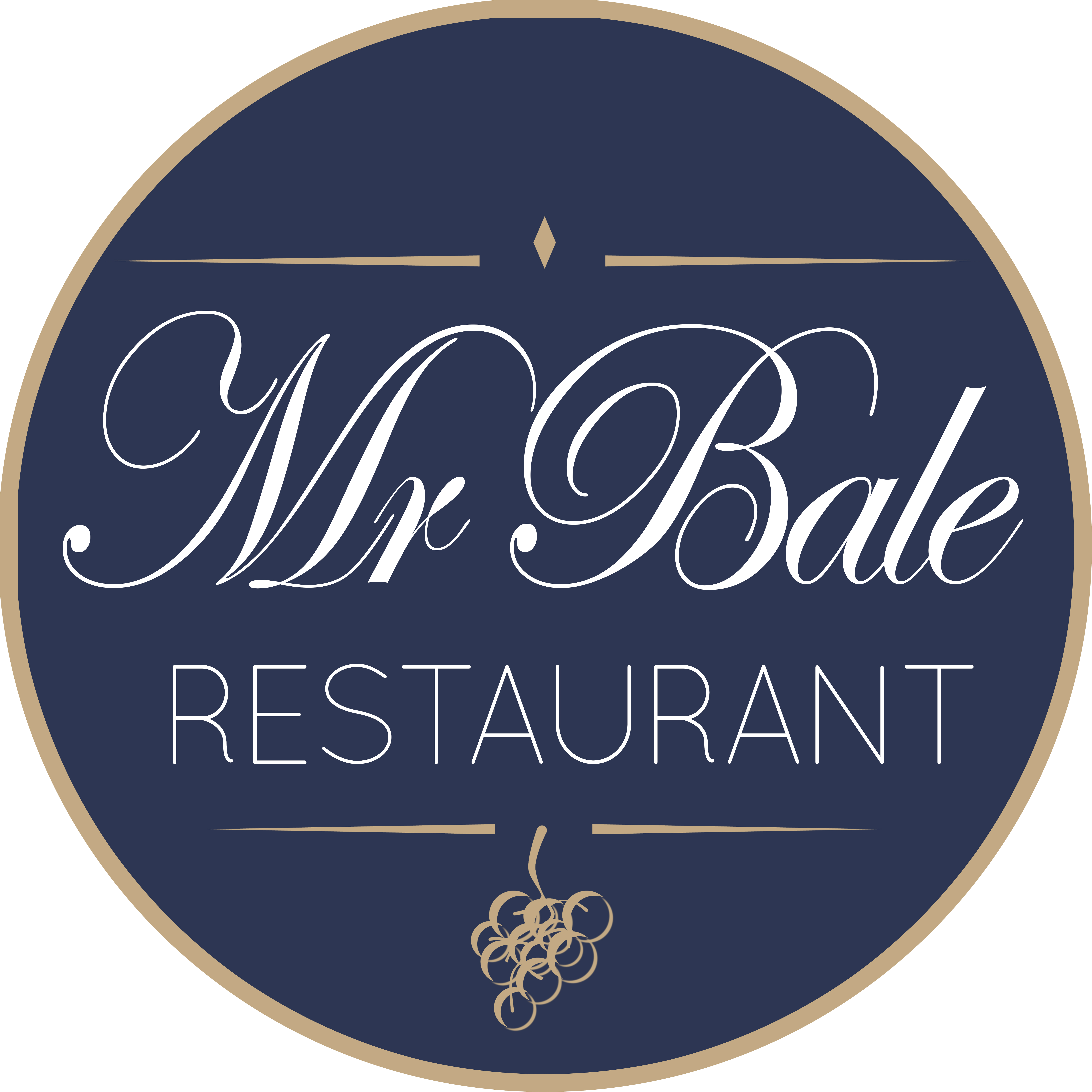 Mr Bale Logo